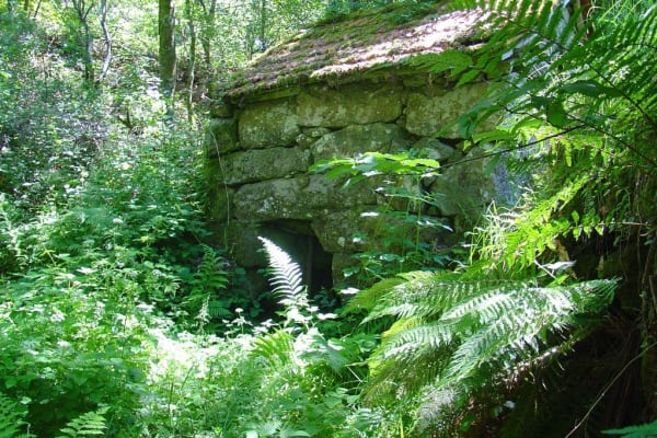 Foto 92 da atividade Galeria de Fotos