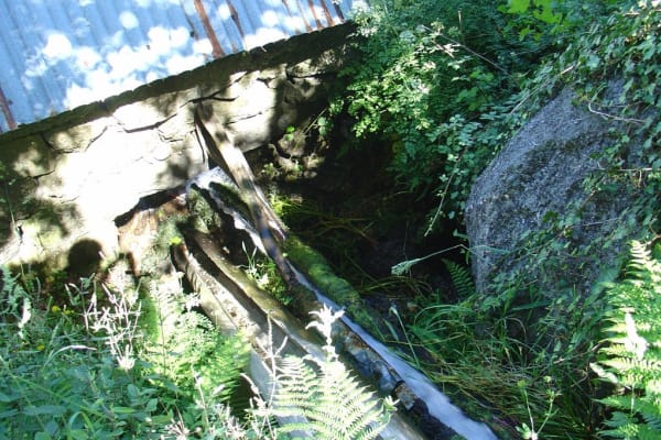 Foto 88 da atividade Galeria de Fotos