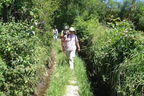 Foto 85 da atividade Galeria de Fotos