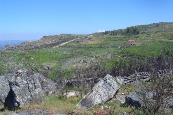 Foto 75 da atividade Galeria de Fotos