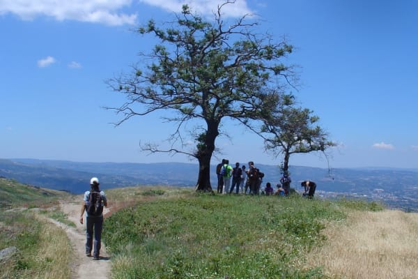 Foto 65 da atividade Galeria de Fotos