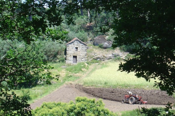 Foto 59 da atividade Galeria de Fotos