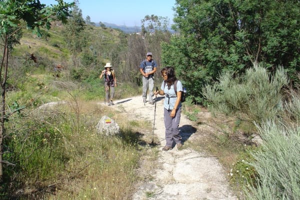 Foto 37 da atividade Galeria de Fotos