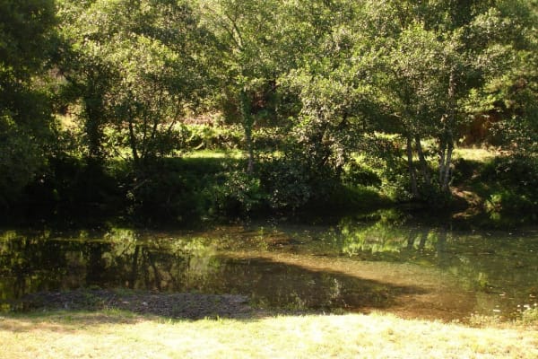 Foto 110 da atividade Galeria de Fotos