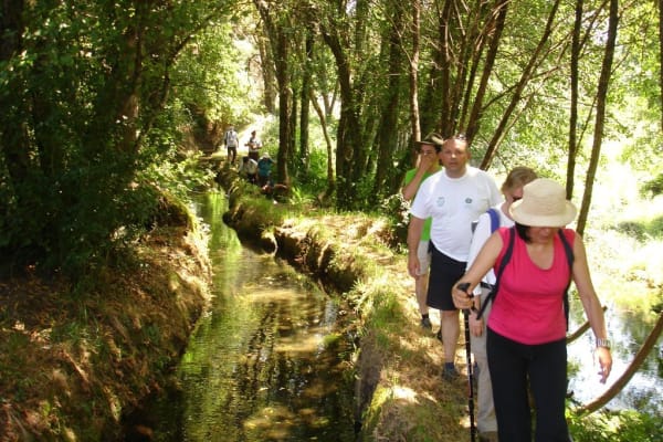 Foto 65 da atividade Galeria de Fotos