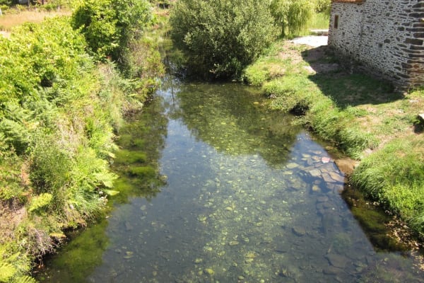 Foto 45 da atividade Galeria de Fotos