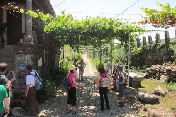 Foto 37 da atividade Galeria de Fotos