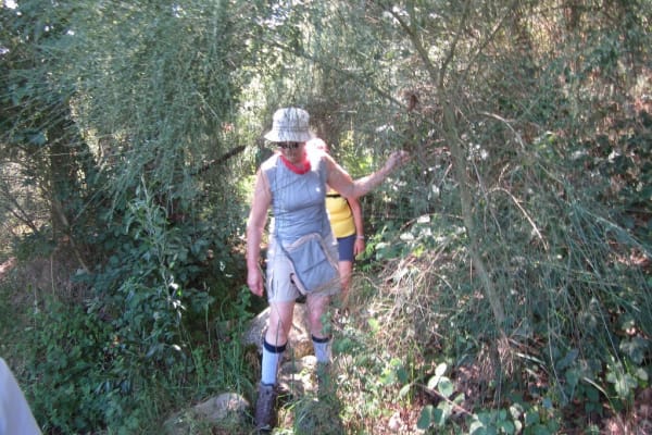 Foto 24 da atividade Galeria de Fotos