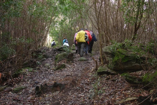 Foto 56 da atividade Galeria de Fotos