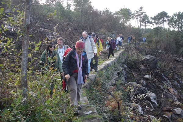 Foto 50 da atividade Galeria de Fotos