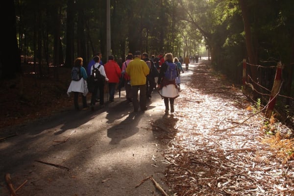 Foto 47 da atividade Galeria de Fotos