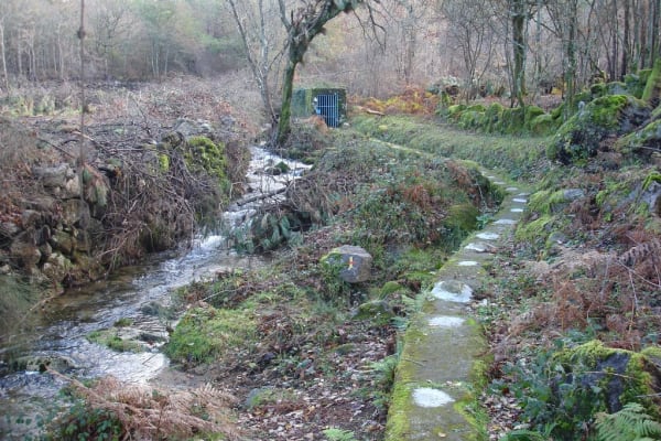 Foto 43 da atividade Galeria de Fotos