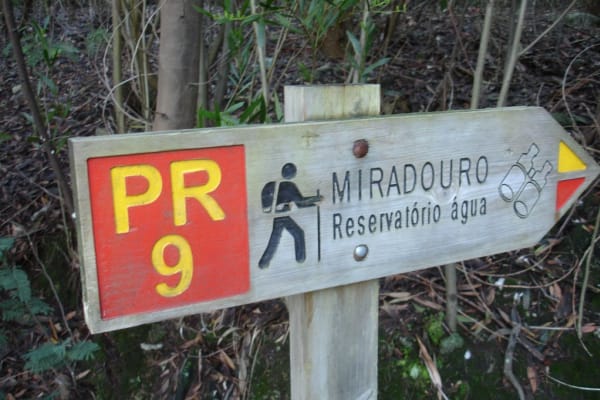 Foto 42 da atividade Galeria de Fotos