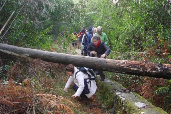 Foto 2 da atividade Galeria de Fotos