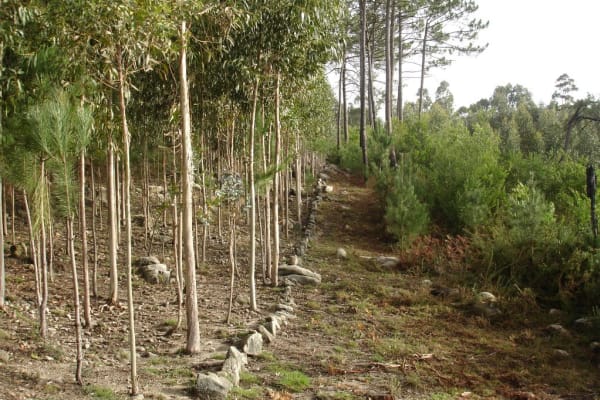 Foto 4 da atividade Galeria de Fotos