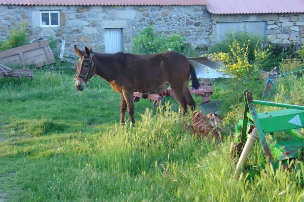 Foto 63 da atividade Galeria de Fotos