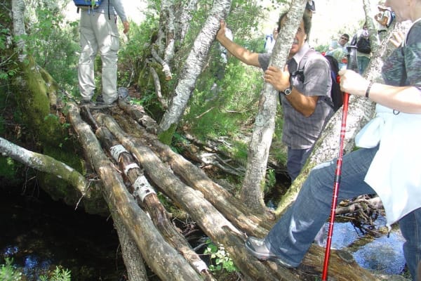 Foto 50 da atividade Galeria de Fotos