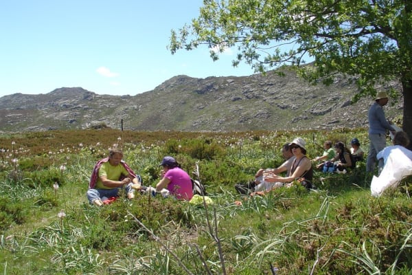 Foto 23 da atividade Galeria de Fotos