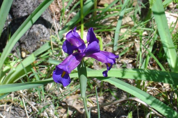 Foto 12 da atividade Galeria de Fotos