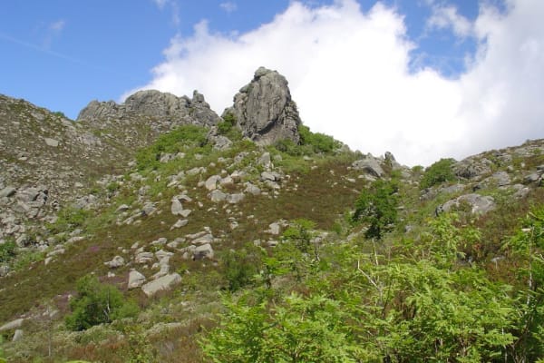 Foto 3 da atividade Galeria de Fotos