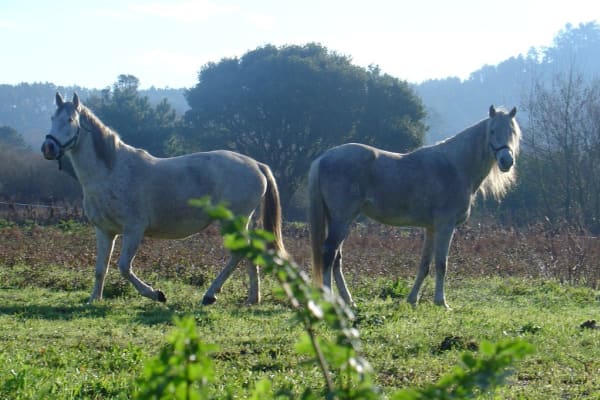 Foto 167 da atividade Galeria de Fotos