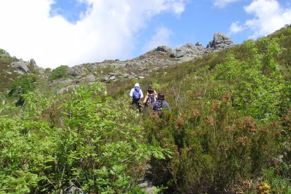 Foto 2 da atividade Galeria de Fotos