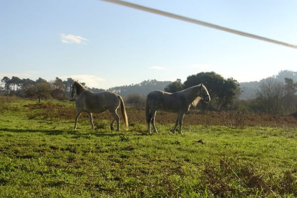 Foto 164 da atividade Galeria de Fotos