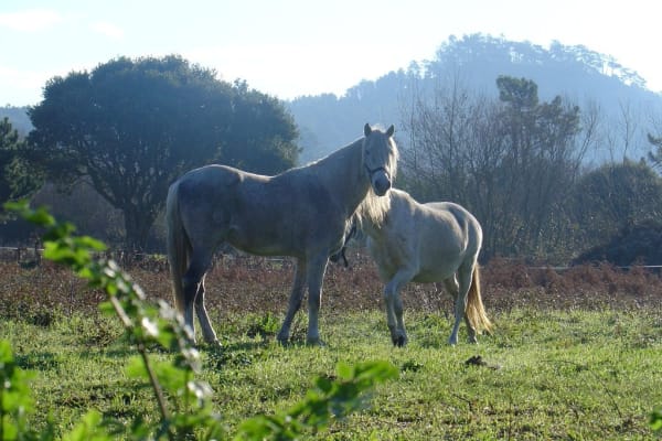 Foto 158 da atividade Galeria de Fotos