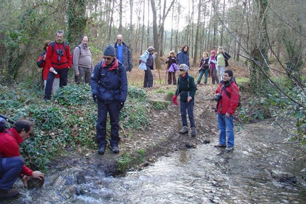 Foto 154 da atividade Galeria de Fotos