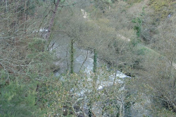 Foto 152 da atividade Galeria de Fotos