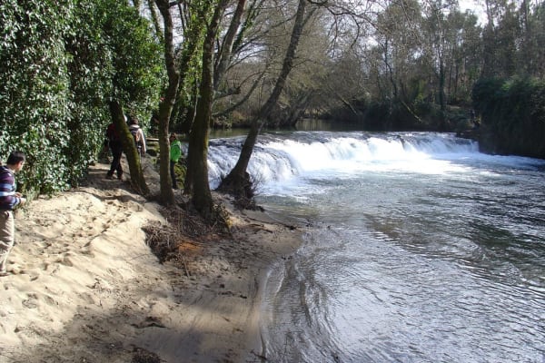 Foto 136 da atividade Galeria de Fotos