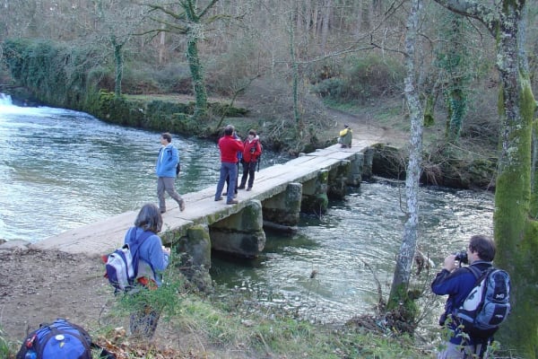 Foto 135 da atividade Galeria de Fotos