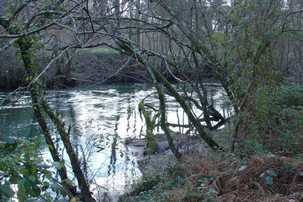 Foto 125 da atividade Galeria de Fotos