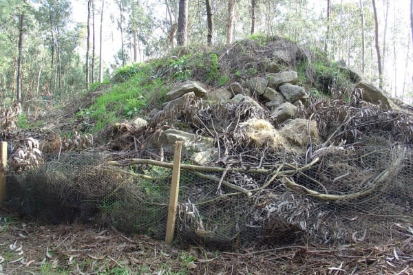 Foto 123 da atividade Galeria de Fotos