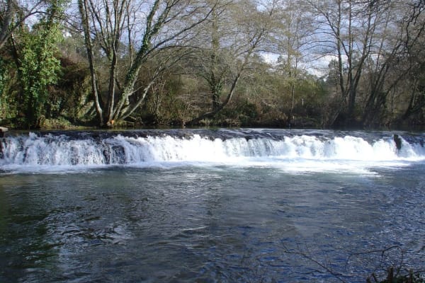 Foto 113 da atividade Galeria de Fotos