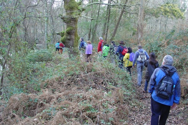 Foto 116 da atividade Galeria de Fotos