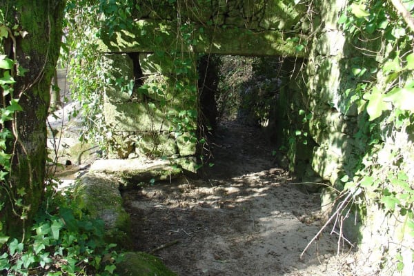 Foto 107 da atividade Galeria de Fotos