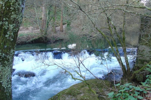 Foto 96 da atividade Galeria de Fotos