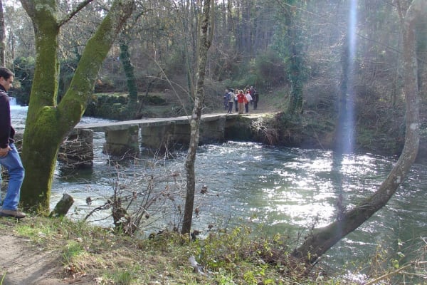 Foto 78 da atividade Galeria de Fotos