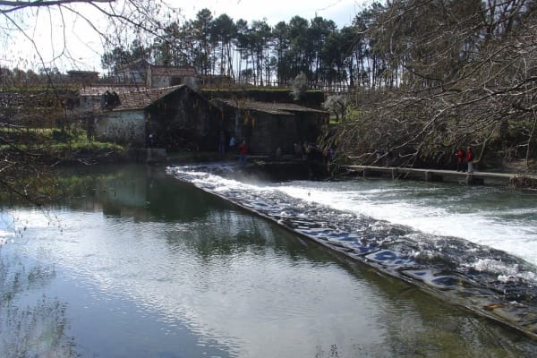 Foto 79 da atividade Galeria de Fotos