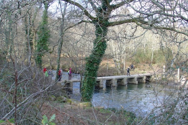 Foto 70 da atividade Galeria de Fotos