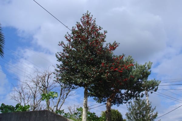 Foto 49 da atividade Galeria de Fotos