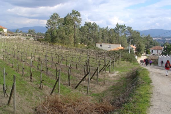 Foto 42 da atividade Galeria de Fotos