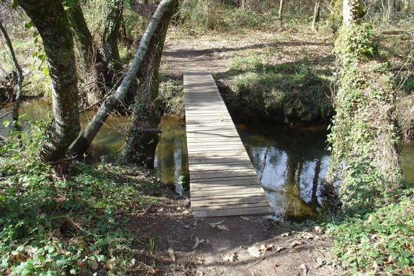 Foto 39 da atividade Galeria de Fotos