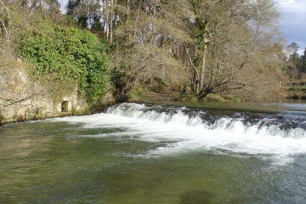 Foto 38 da atividade Galeria de Fotos