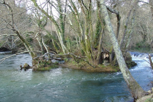 Foto 32 da atividade Galeria de Fotos