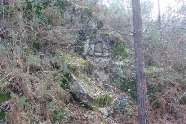 Foto 30 da atividade Galeria de Fotos