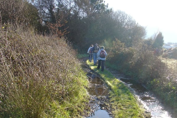 Foto 22 da atividade Galeria de Fotos