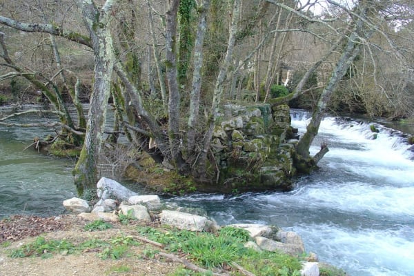 Foto 20 da atividade Galeria de Fotos