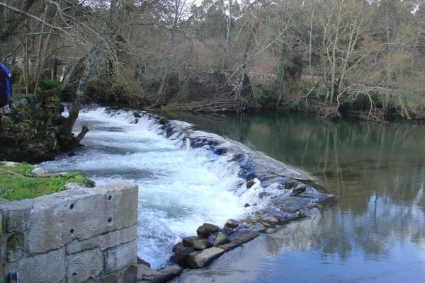 Foto 7 da atividade Galeria de Fotos